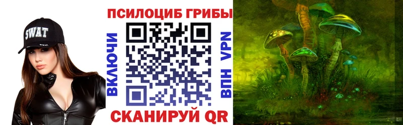 Псилоцибиновые грибы GOLDEN TEACHER  MEGA зеркало  Макушино 